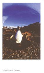 �W�F���c�[�y���M��