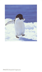 �A�f���[�y���M��