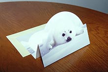 �^�e�S�g�A�U���V