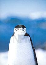 �y���M���E�`�S