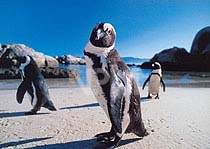 �y���M���E�`�X