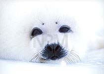 �^�e�S�g�A�U���V