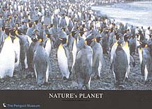 �y���M���E�a�P�O