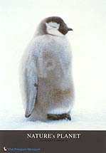 �y���M���E�a�Q