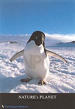 �y���M���E�a�R