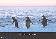 �y���M���E�a�P�P