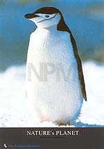 �y���M���E�a�S