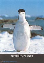 �y���M���E�a�T