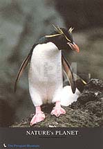 �y���M���E�a�U