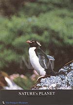 �y���M���E�a�W