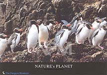 �y���M���E�a�P�Q