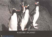 �y���M���E�a�P�R