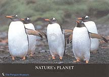 �y���M���E�a�P�S