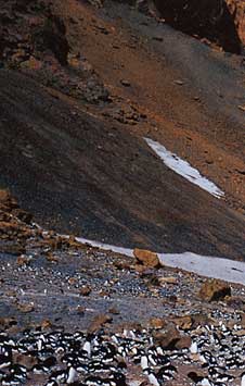 �A�f���[�y���M���̃y�[�W