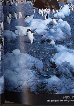 �A�f���[�y���M���̃y�[�W