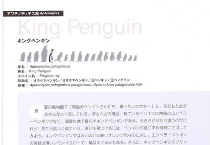 �L���O�y���M���̃y�[�W