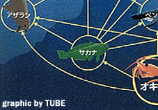 ��ɊC�̐H���A��