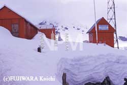 2002�N1��4���i�^�āj