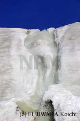 ��ɉ��g���ŏo��������