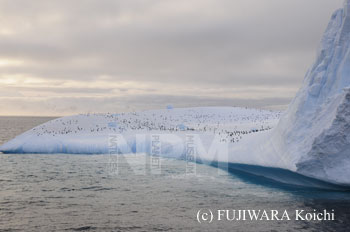 �X�R�̏�ɂ���y���M������