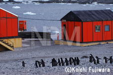 「ペンギンが泣いている」〜痛めるゴミ大陸・南極の危機〜