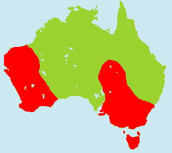 �N�r���A�J�c�N�V�K�������}�b�v