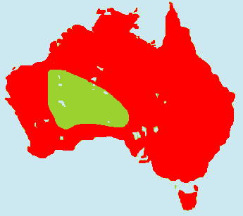 �R�N�`���E�����}�b�v