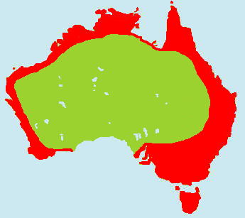 �A�}�T�M�����}�b�v