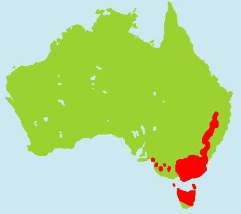 �q���E�H���o�b�g�����}�b�v