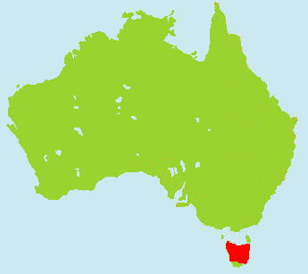 �^�X�}�j�A�f�r�������}�b�v