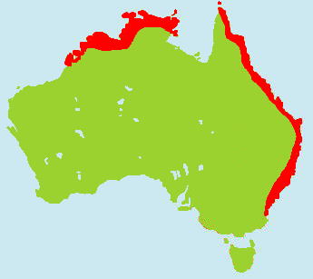 �L���o�g�����}�b�v