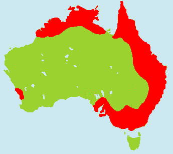 �S�V�L�Z�C�K�C�C���R�����}�b�v