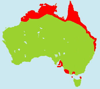 �J�T�T�M�K�������}�b�v