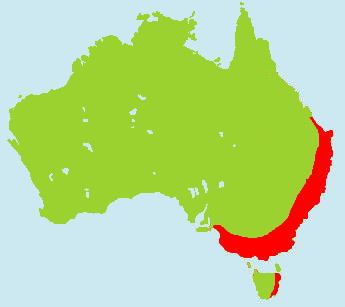 �W���R�E�C���R�����}�b�v