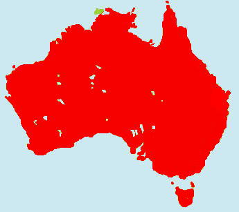 �R�V�O���y���J�������}�b�v