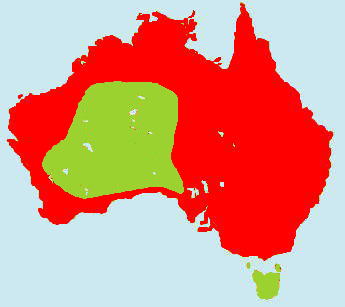 �A�~�W���E�����}�b�v