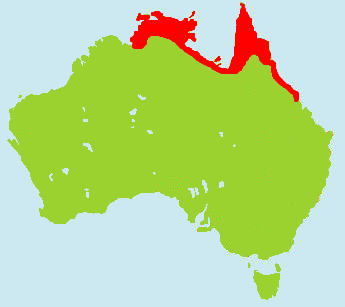 ���i�W���N���T�M�����}�b�v