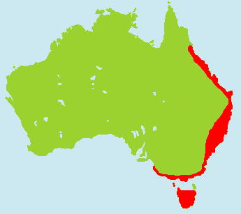 �J���m�n�V�����}�b�v