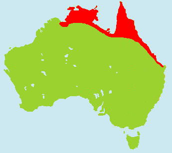 �V���K�V���c�N�V�K�������}�b�v