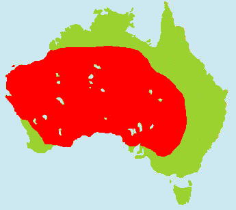 �A�J�J���K���[�����}�b�v