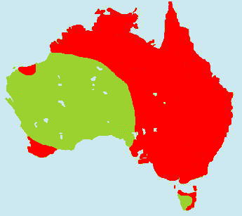 �N���g�L�����}�b�v