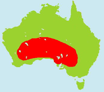 �q���l�L�L���E�C���R�����}�b�v