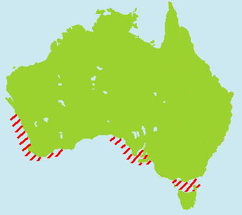 �I�[�X�g�����A�A�V�J�����}�b�v