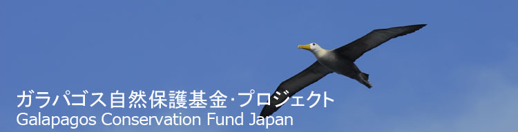 【ガラパゴスアホウドリ】 ガラパゴス自然保護基金／Galapagos Conservation Fund Japan