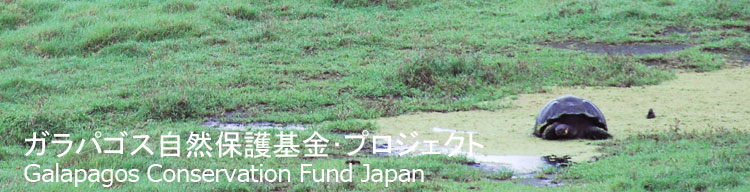 【ガラパゴスゾウガメ】 ガラパゴス自然保護基金／Galapagos Conservation Fund Japan