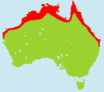 �N���I�I�R�E���������}�b�v